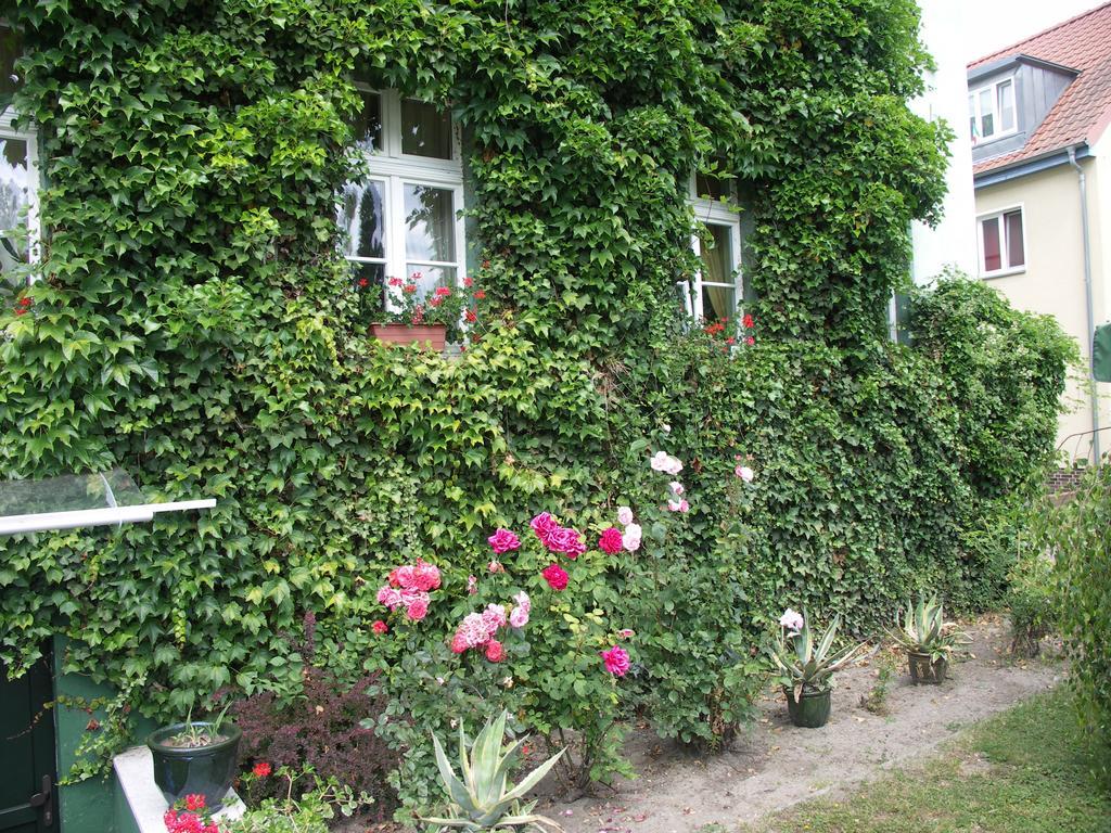 3 Sterne Hotel Frankfurt-Oder Zur Alten Oder Frankfurt  Bagian luar foto