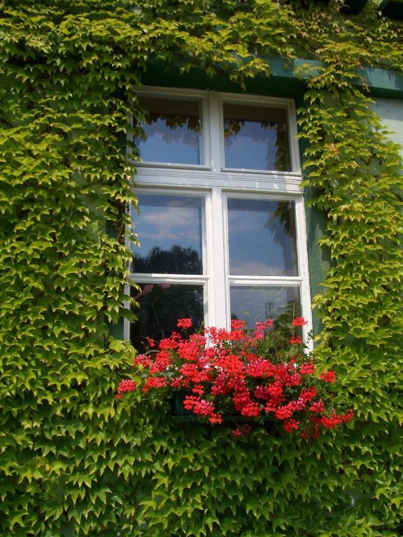 3 Sterne Hotel Frankfurt-Oder Zur Alten Oder Frankfurt  Bagian luar foto